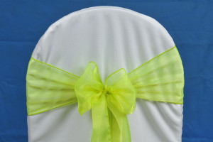 Centered Bow Knot